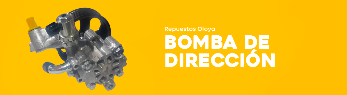 Bomba De Dirección